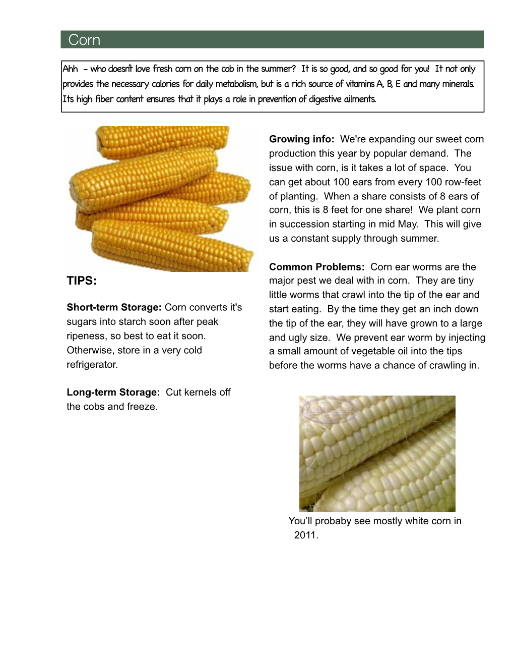 Who Doesn't Love Fresh Corn on the Cob in the Summer?