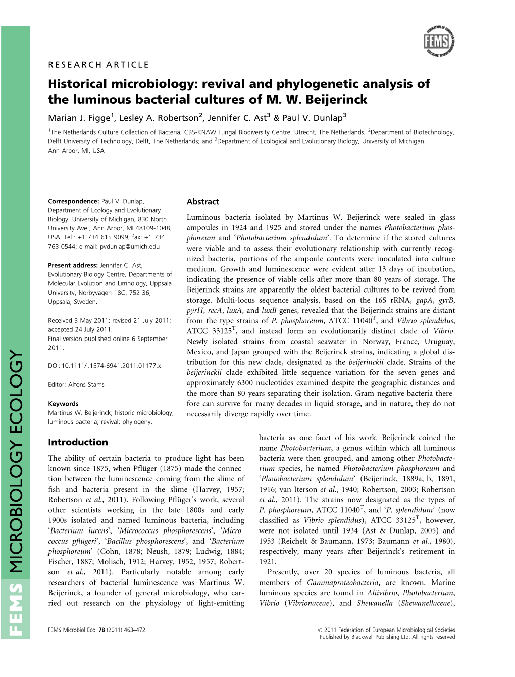 Revival and Phylogenetic Analysis of the Luminous Bacterial Cultures of MW Beijerinck