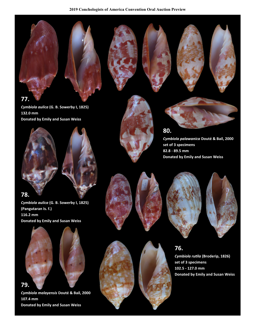 2019 Conchologists of America Convention Oral Auction Preview