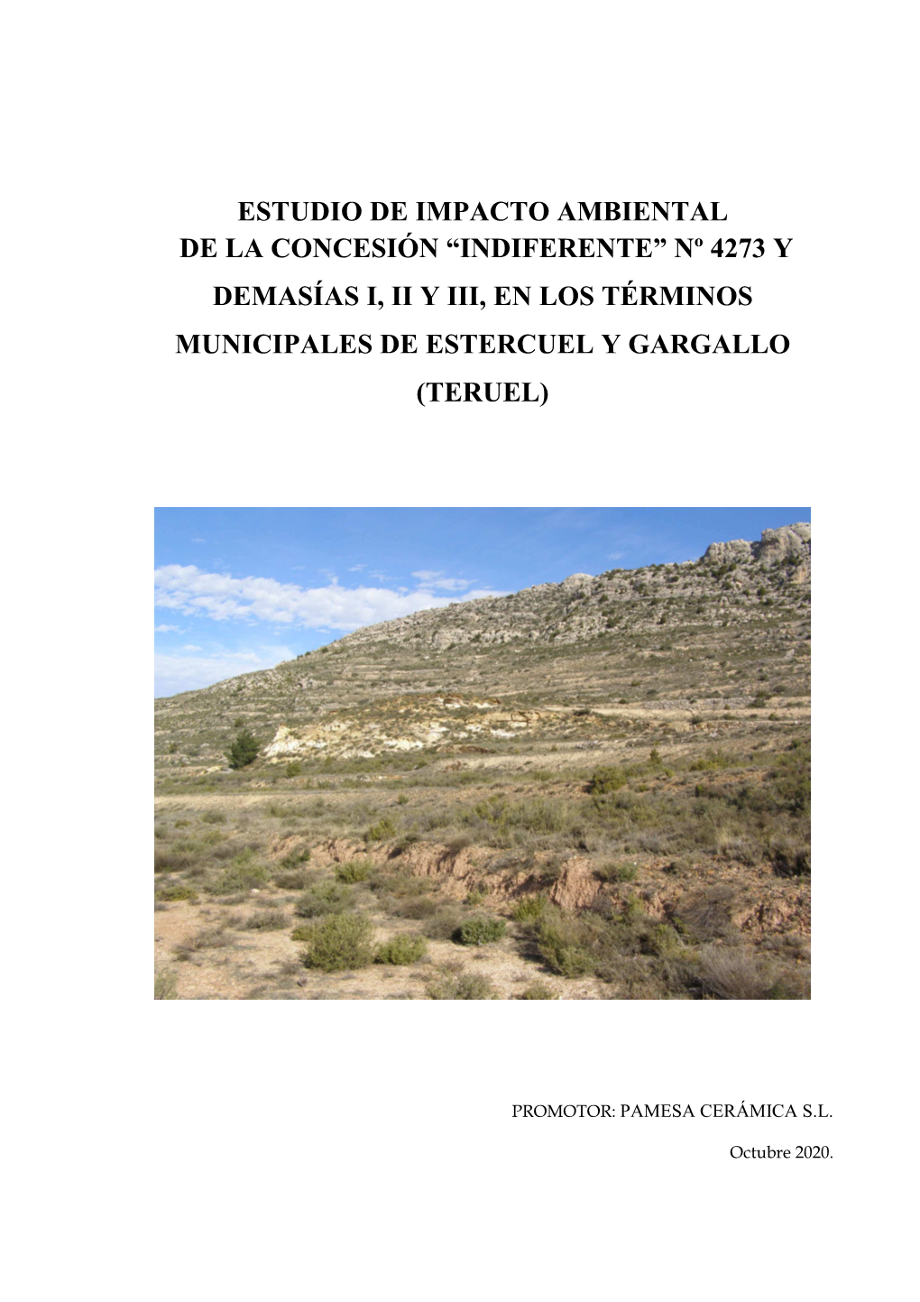 Estudio De Impacto Ambiental De La Concesión “Indiferente” Nº 4273 Y Demasías I, Ii Y Iii, En Los Términos Municipales De Estercuel Y Gargallo (Teruel)