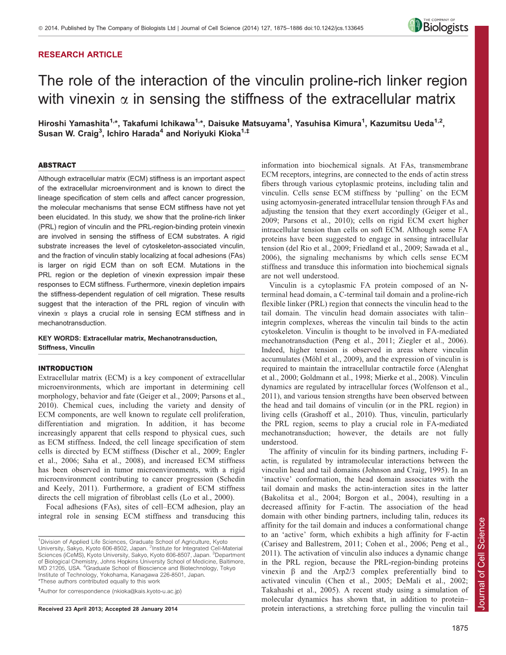 The Role of the Interaction of the Vinculin Proline-Rich Linker Region