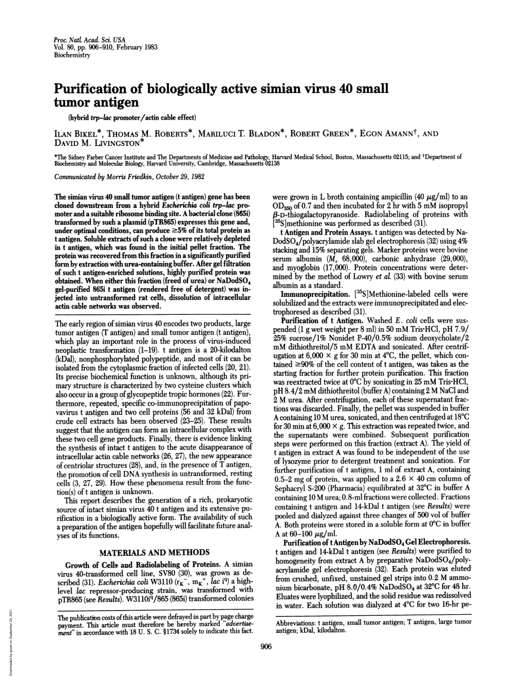 Tumor Antigen (Hybrid Trp-Lac Promoter/Actin Cable Effect) ILAN BIKEL*, THOMAS M