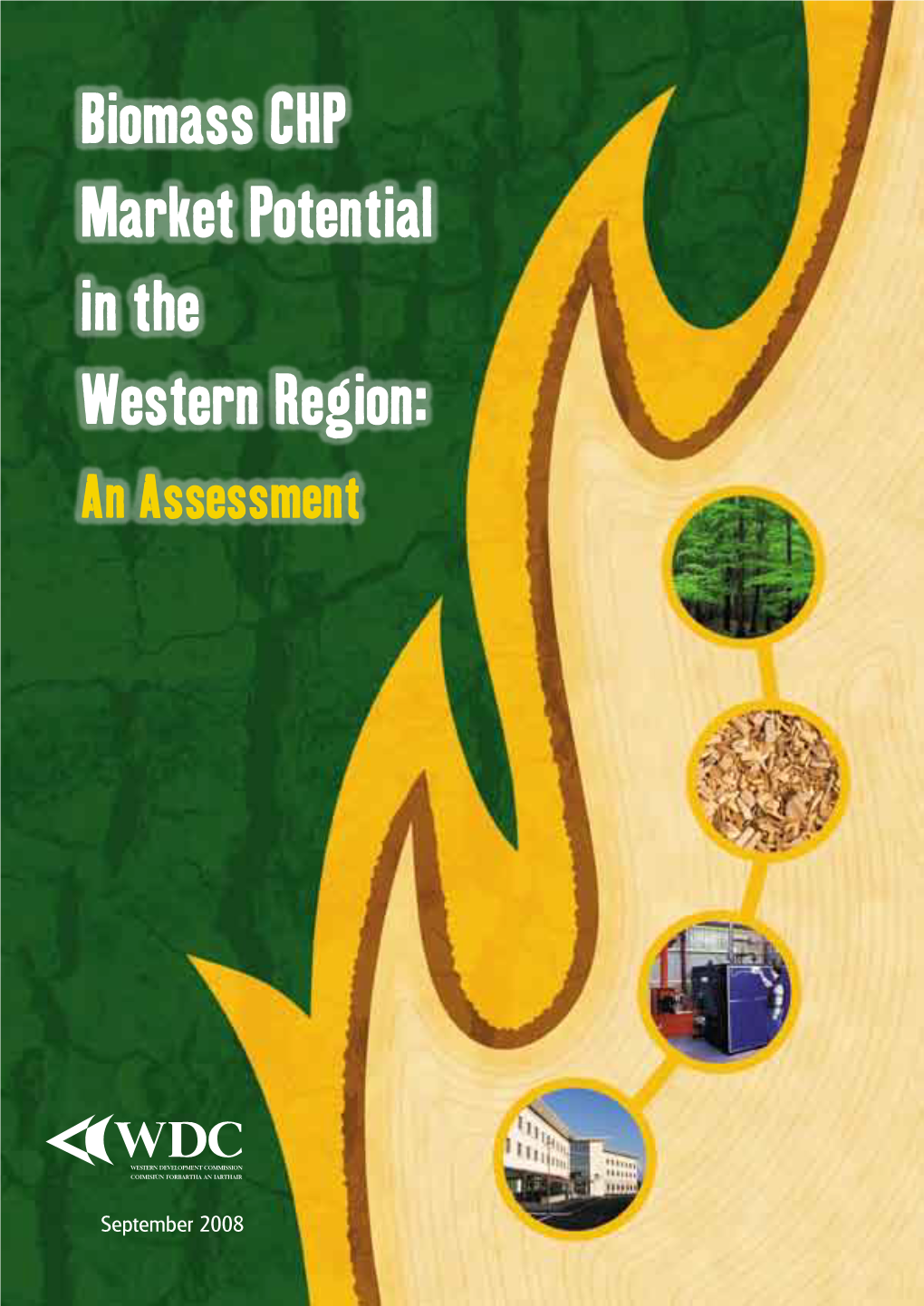 Biomass CHP Market Potential in the Western Region: an Assessment