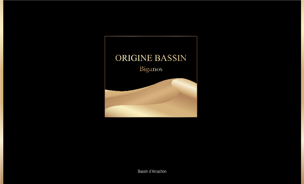 ORIGINE BASSIN Biganos