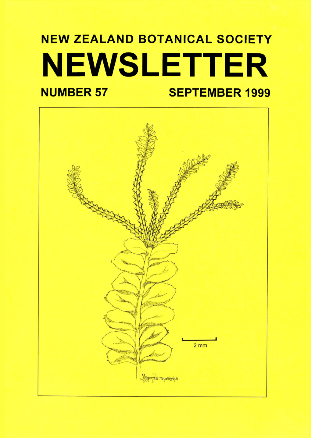 1999 New Zealand Botanical Society