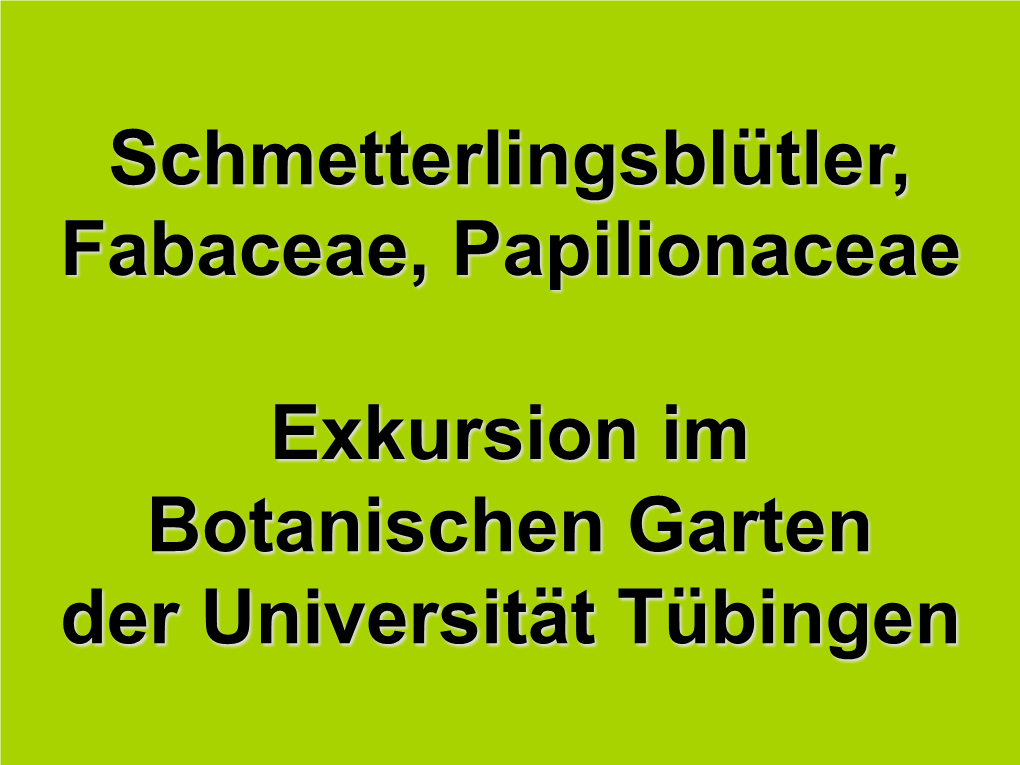 Fam. Schmetterlingsblütler ​​ Fabaceae-2005.C.Pdf