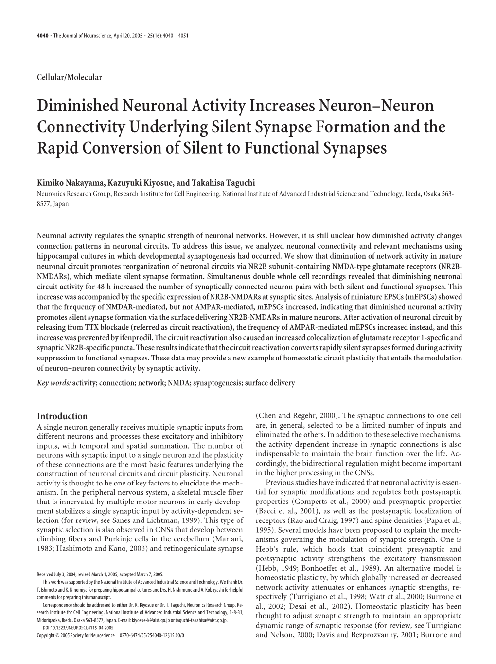 Diminished Neuronal Activity Increases Neuron–Neuron Connectivity Underlying Silent Synapse Formation and the Rapid Conversion of Silent to Functional Synapses