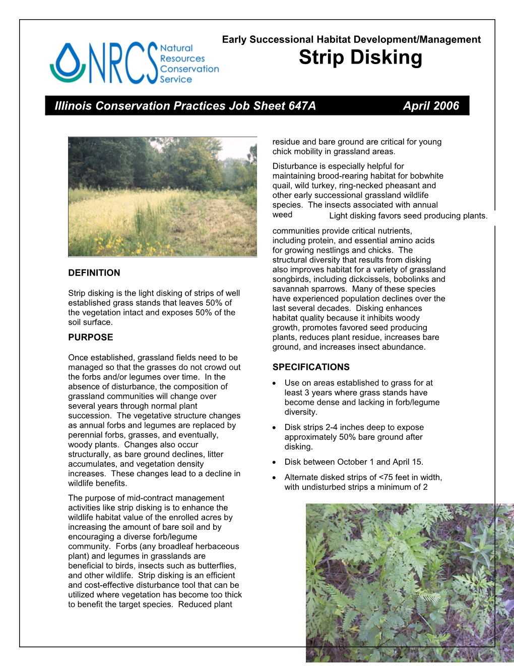 Indiana Wildlife Brush Pile Job Sheet