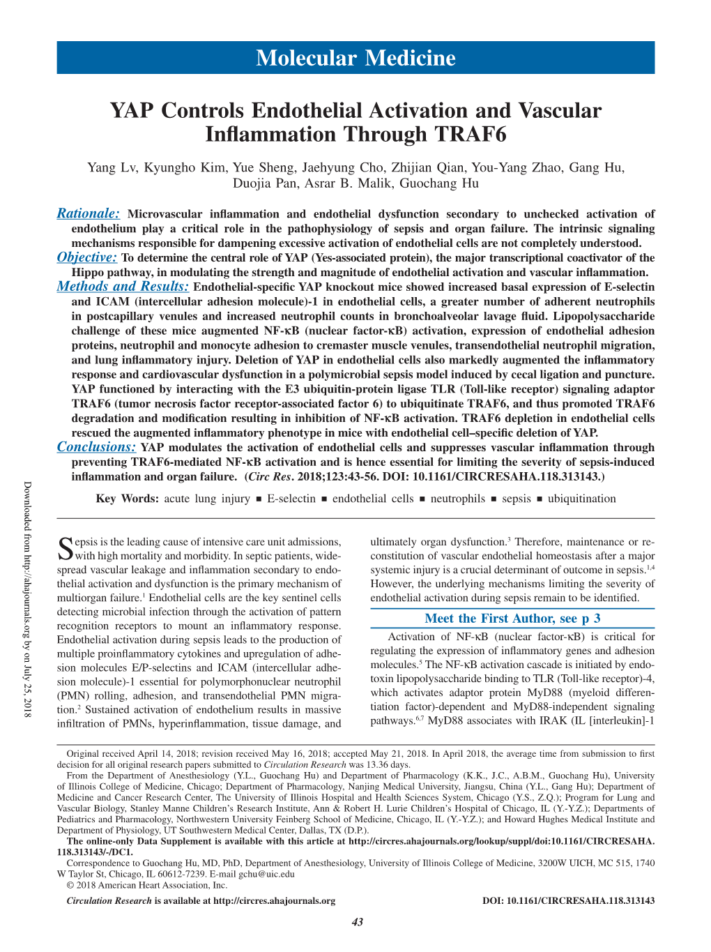 YAP Controls Endothelial Activation and Vascular Inflammation Through TRAF6