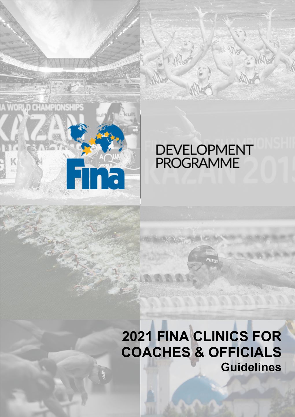 2021 Fina Clinics for Coaches & Officials