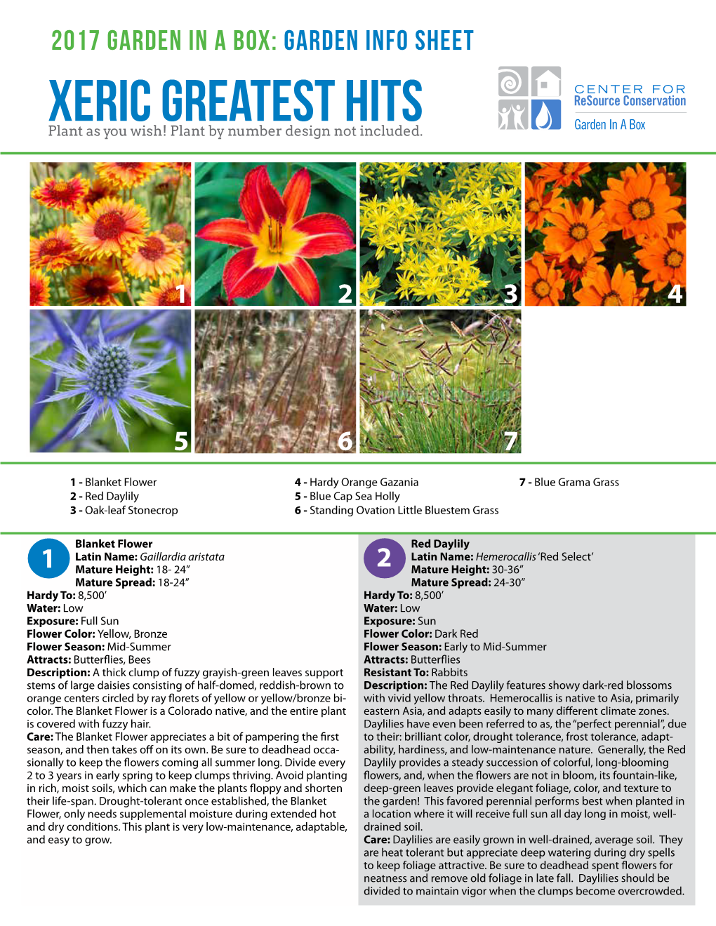 Garden Info Sheet Xeric Greatest Hits Plant As You Wish! Plant by Number Design Not Included