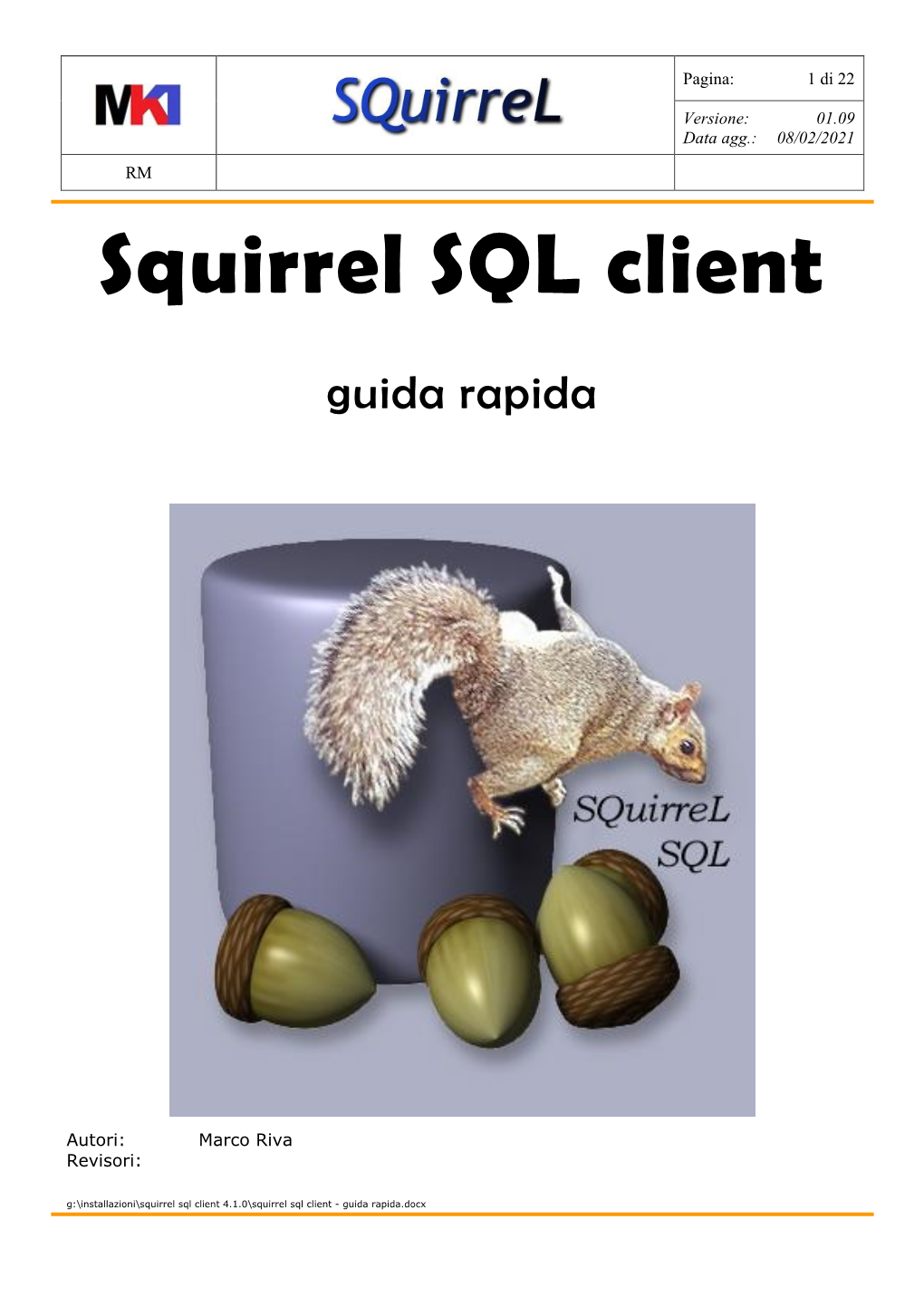 Squirrel SQL Client