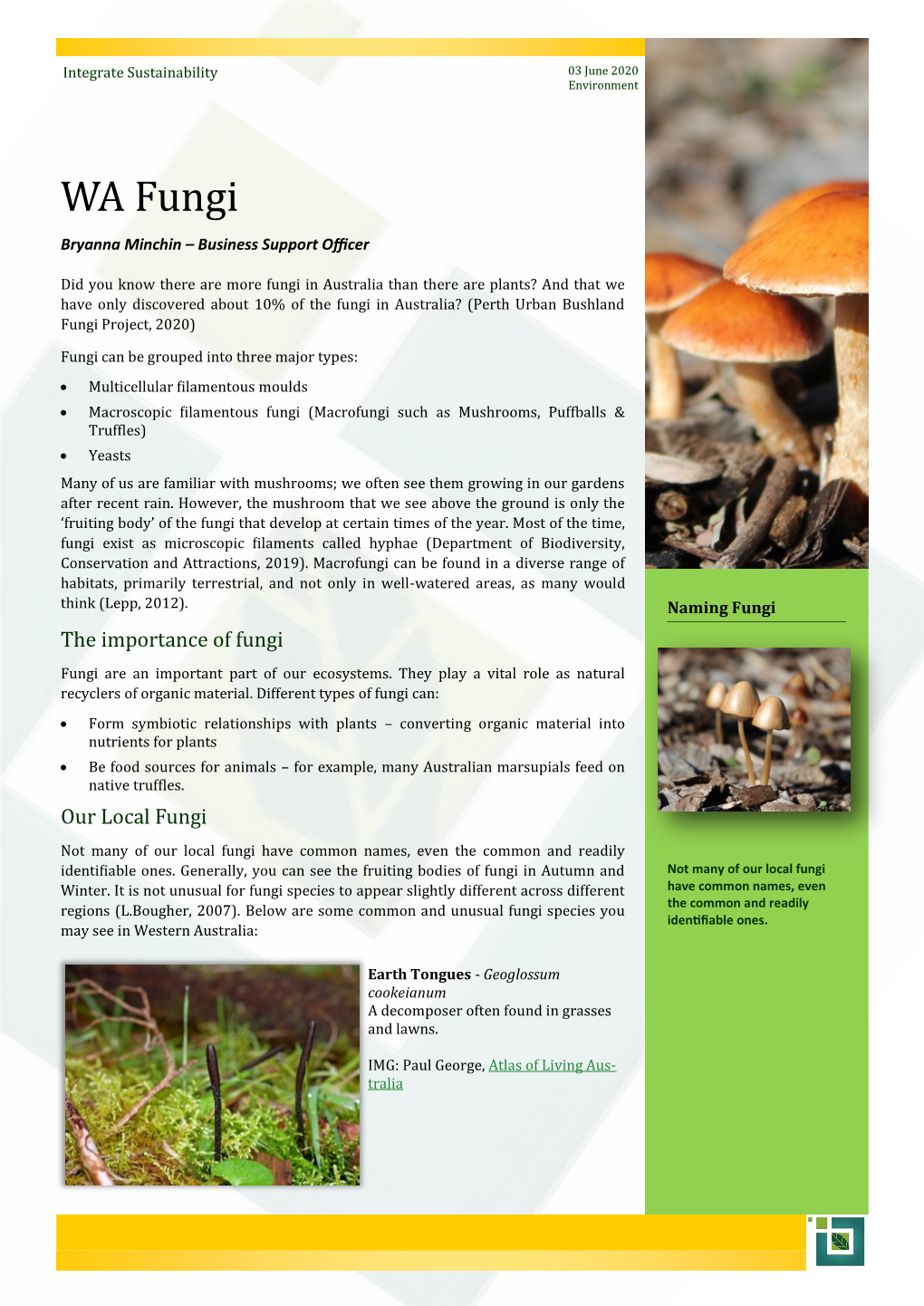ISPL-Insight-WA-Fungi