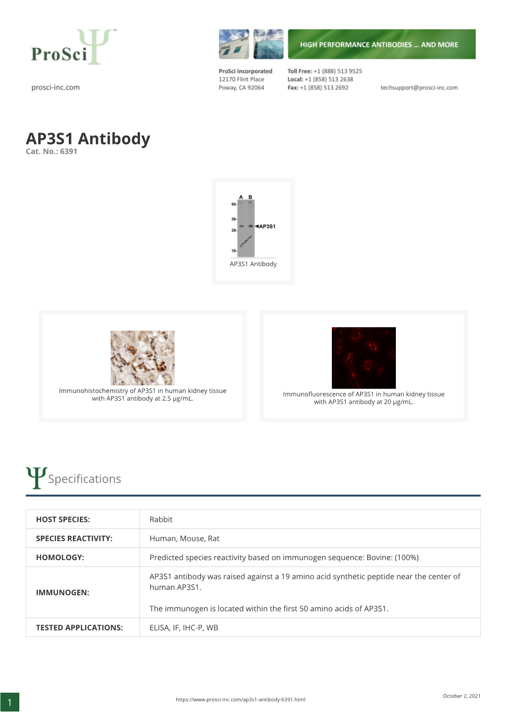 AP3S1 Antibody Cat