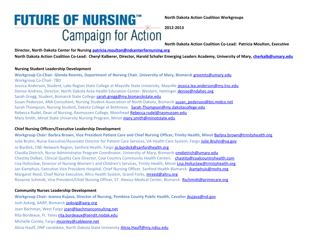 Nursing Student Leadership Development