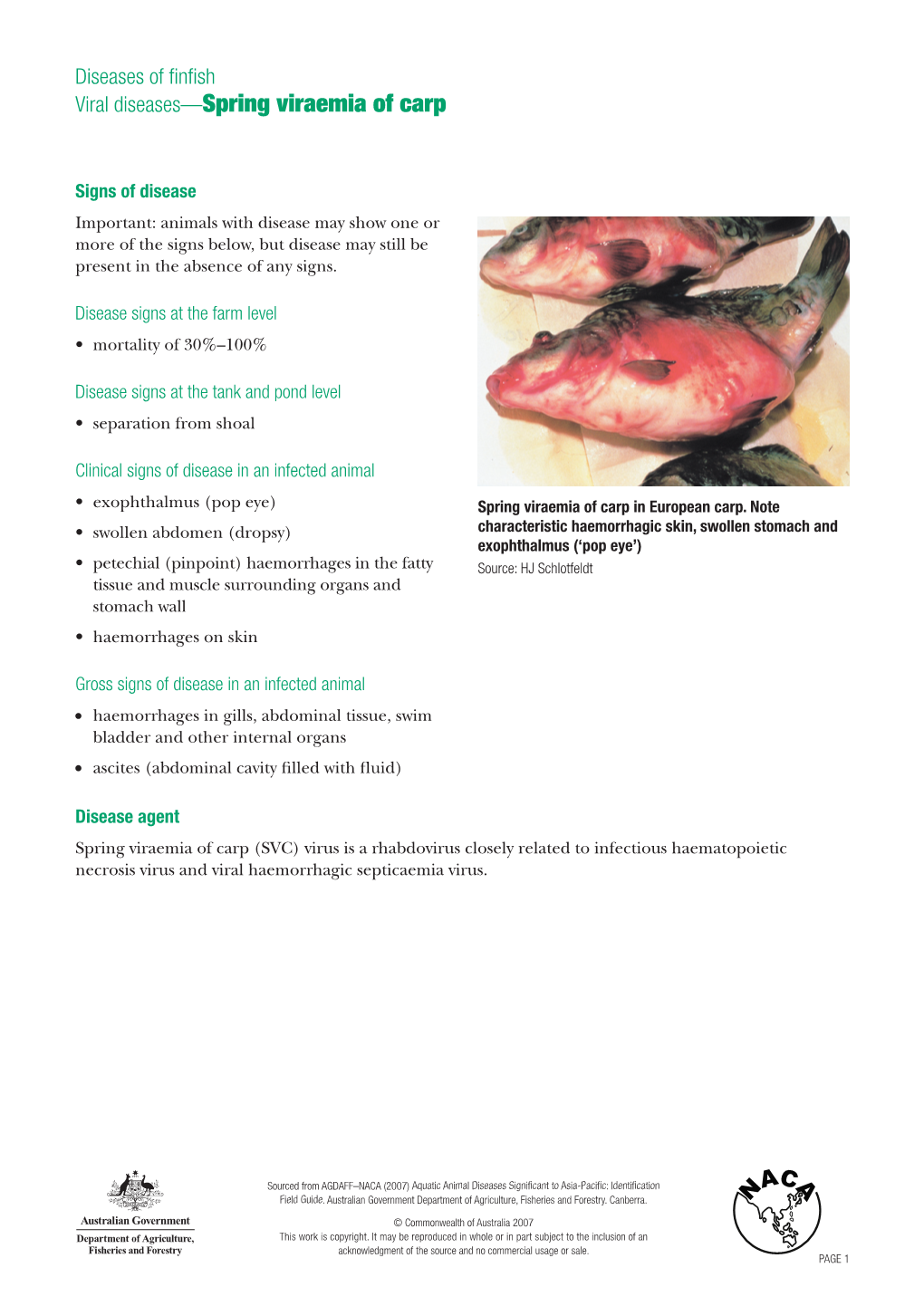 Viral Diseases—Spring Viraemia of Carp