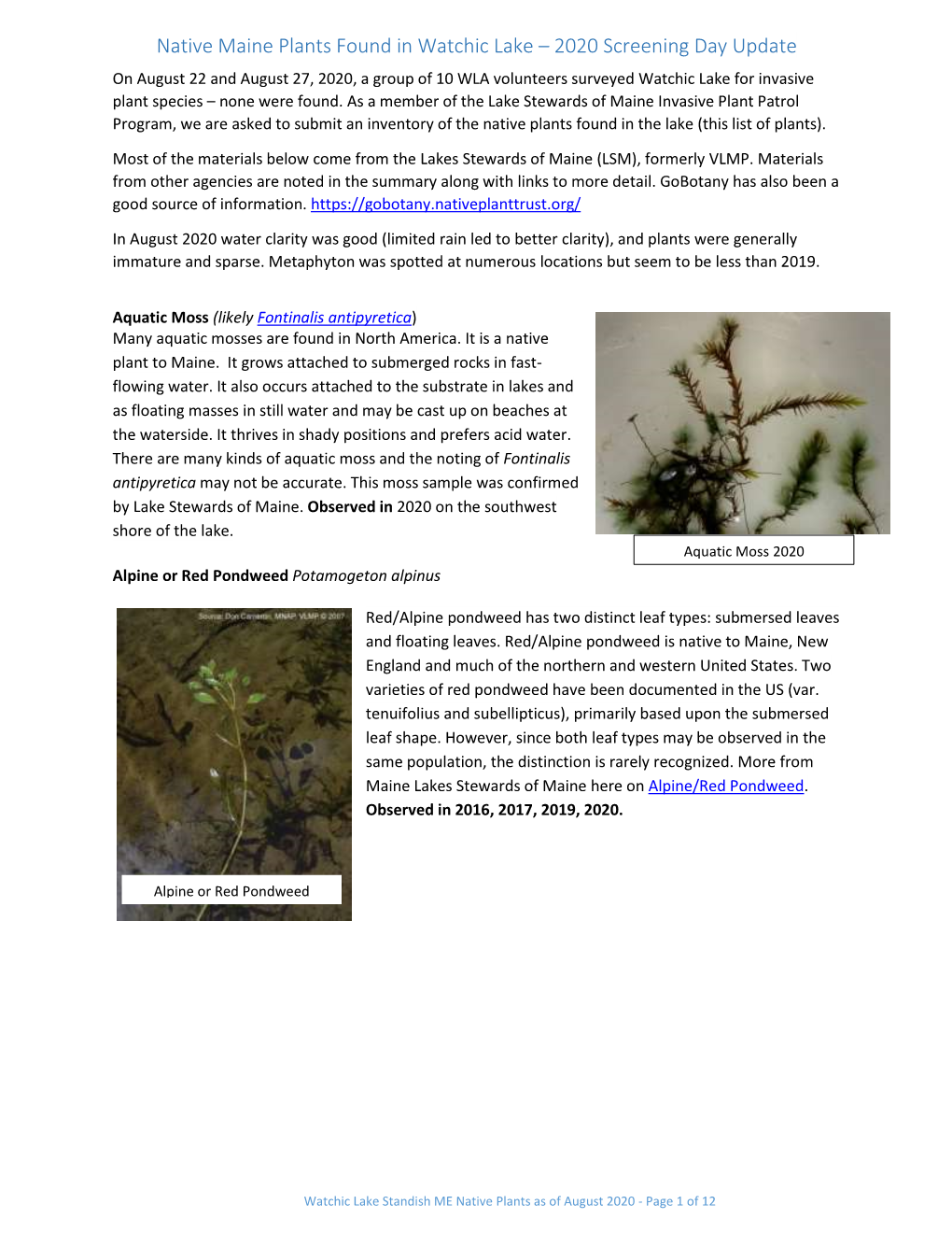 Native Maine Plants Found in Watchic Lake – 2020 Screening Day Update