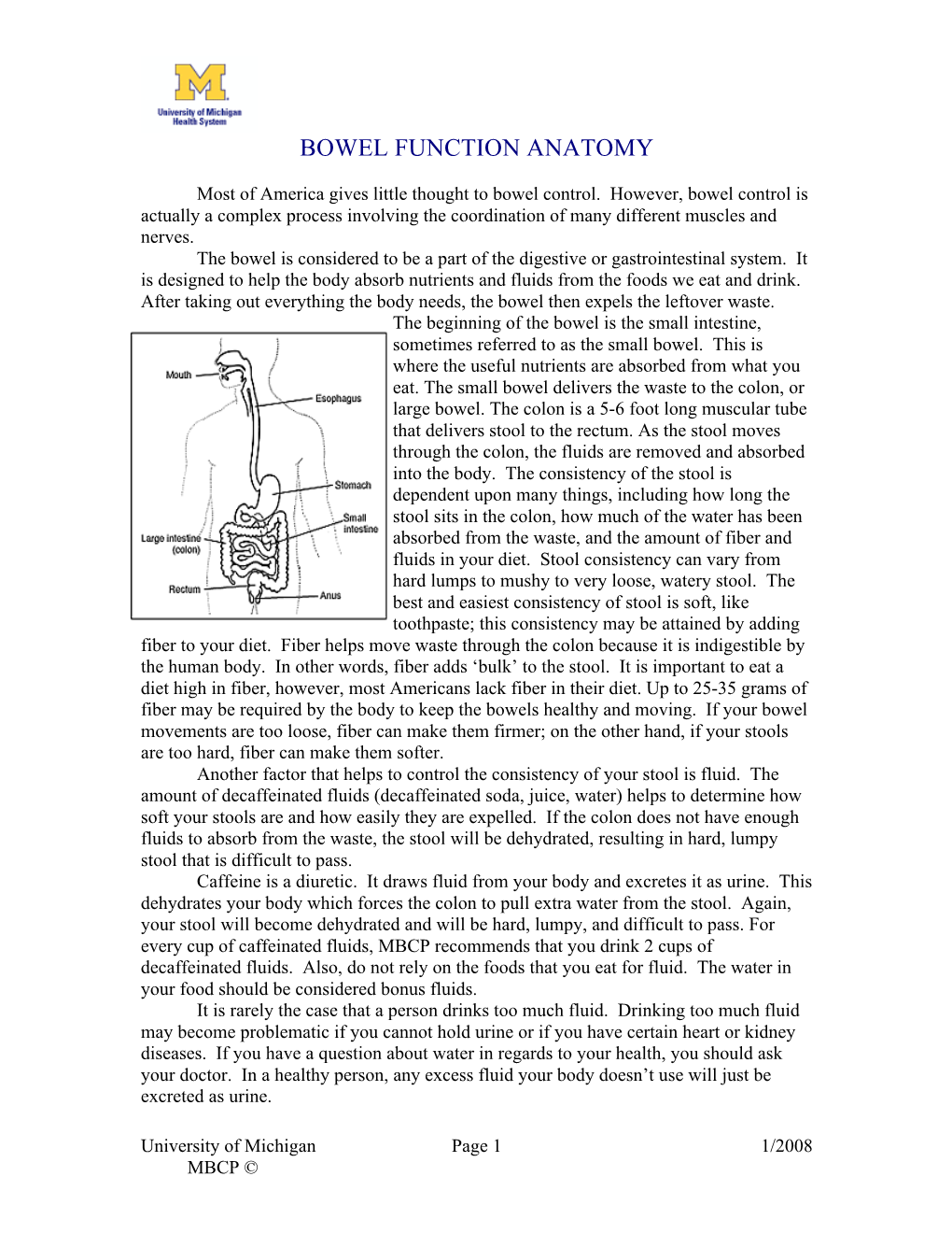 Bowel Function Anatomy