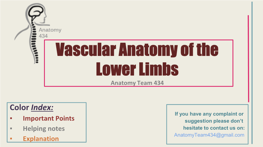 Vascular Anatomy of the Lower Limbs Anatomy Team 434