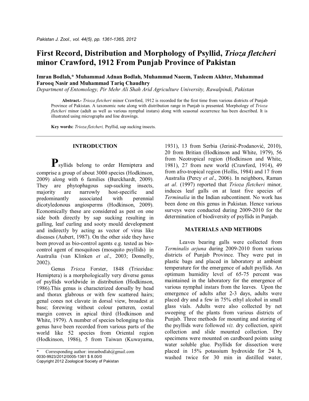 First Record, Distribution and Morphology of Psyllid, Trioza Fletcheri Minor Crawford, 1912 from Punjab Province of Pakistan