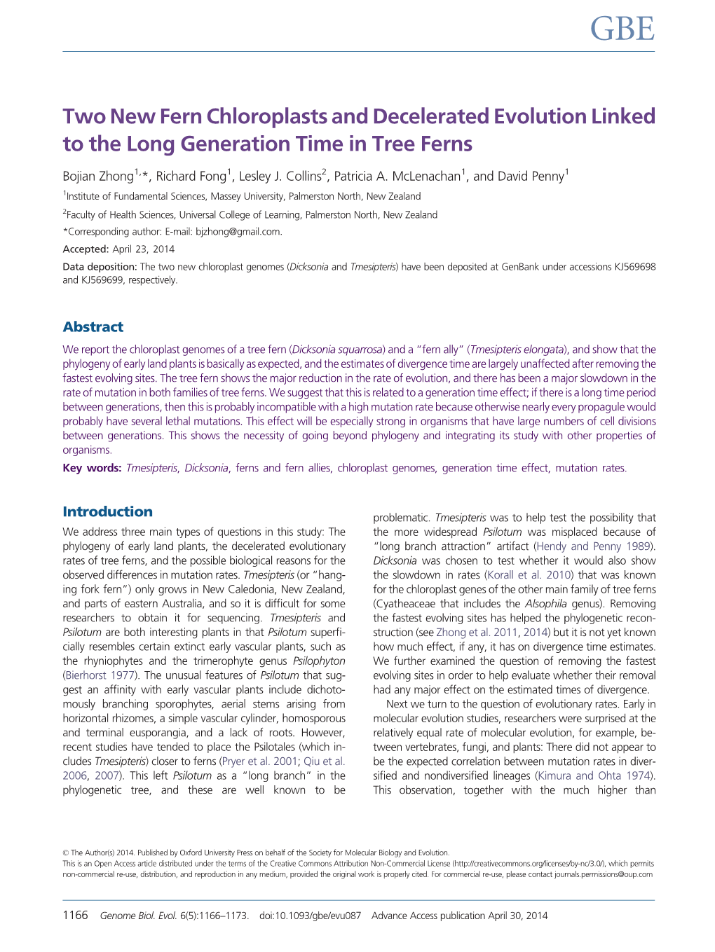 Two New Fern Chloroplasts and Decelerated Evolution Linked to the Long Generation Time in Tree Ferns