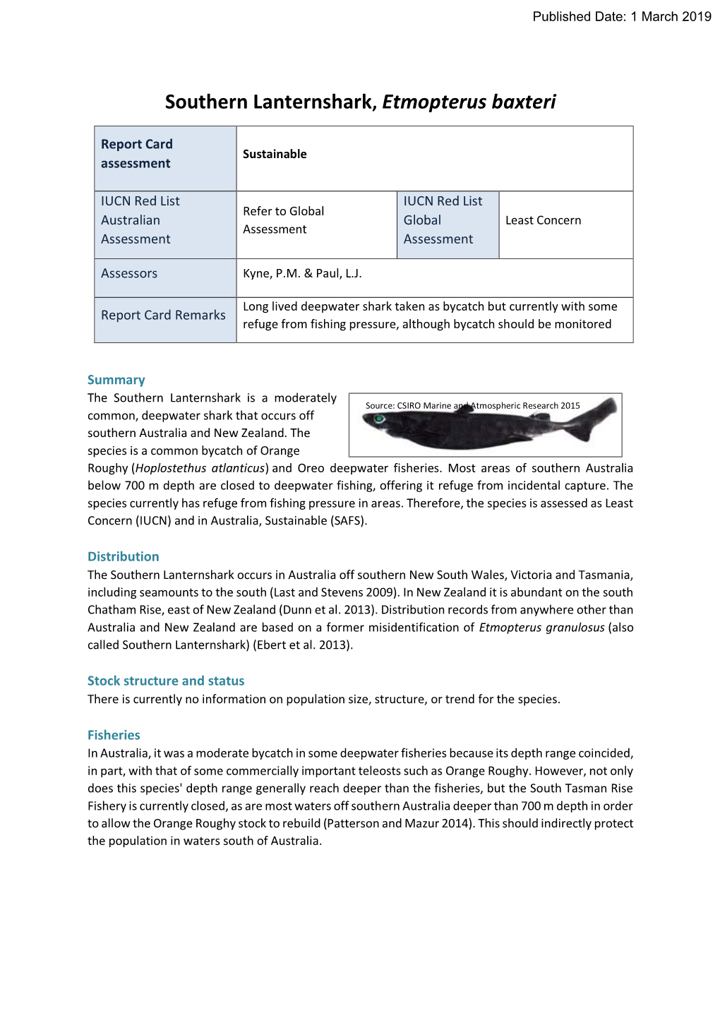 Southern Lanternshark, Etmopterus Baxteri