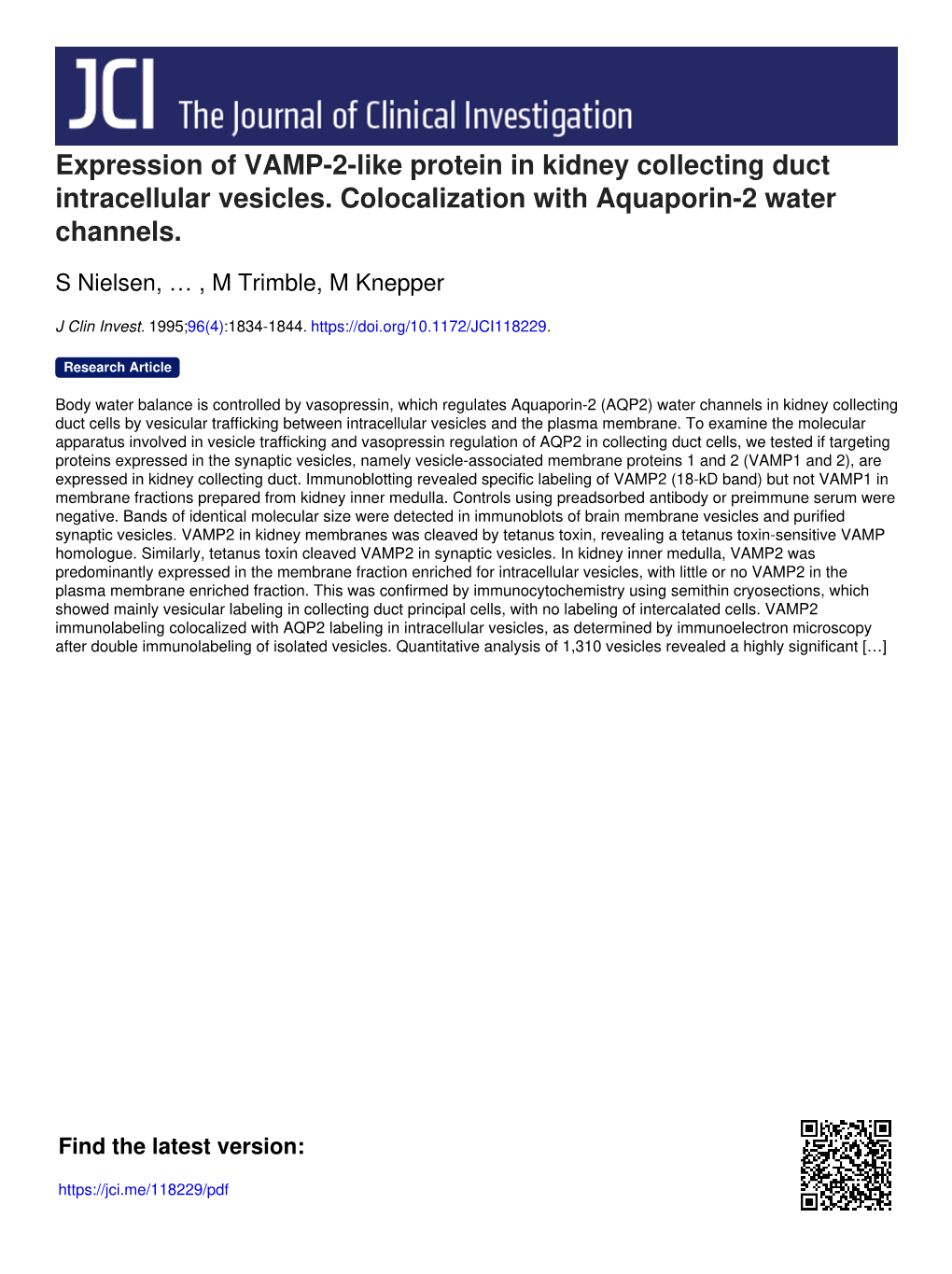 Expression of VAMP-2-Like Protein in Kidney Collecting Duct Intracellular Vesicles