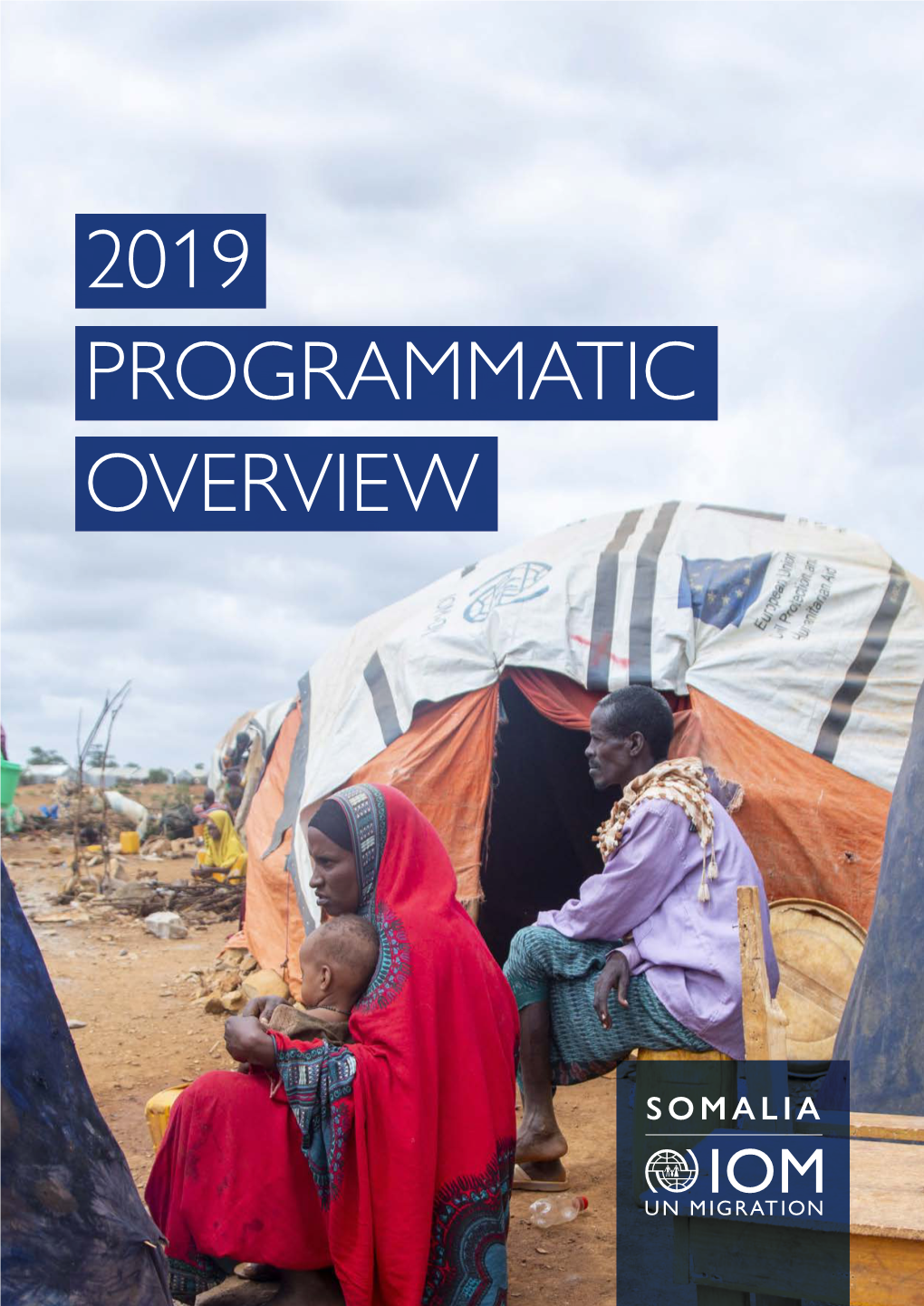 2019 Programmatic Overview 1