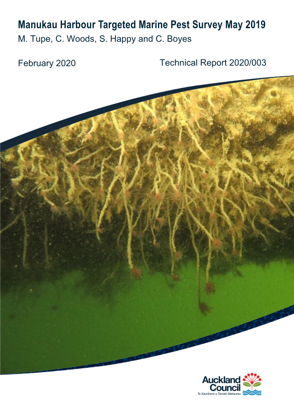 Manukau Harbour Targeted Marine Pest Survey May 2019. TR2020/003