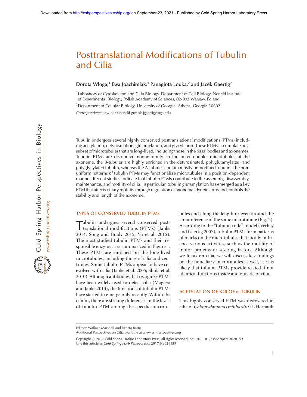 Posttranslational Modifications of Tubulin and Cilia