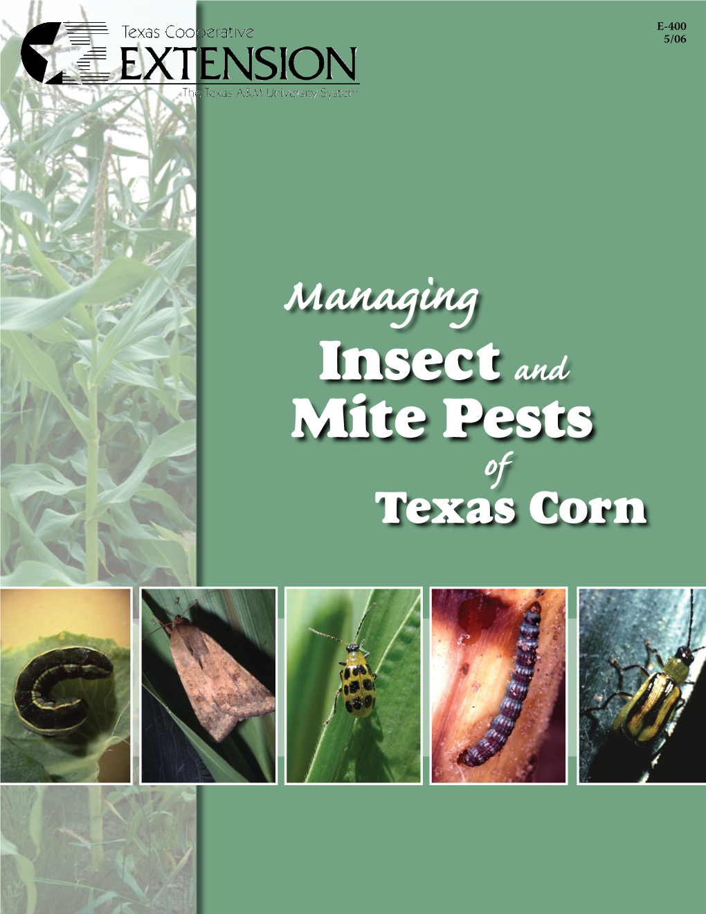 Managing Insect and Mite Pests of Texas Corn Patrick Porter Associate Professor and Extension Entomologist Gregory B