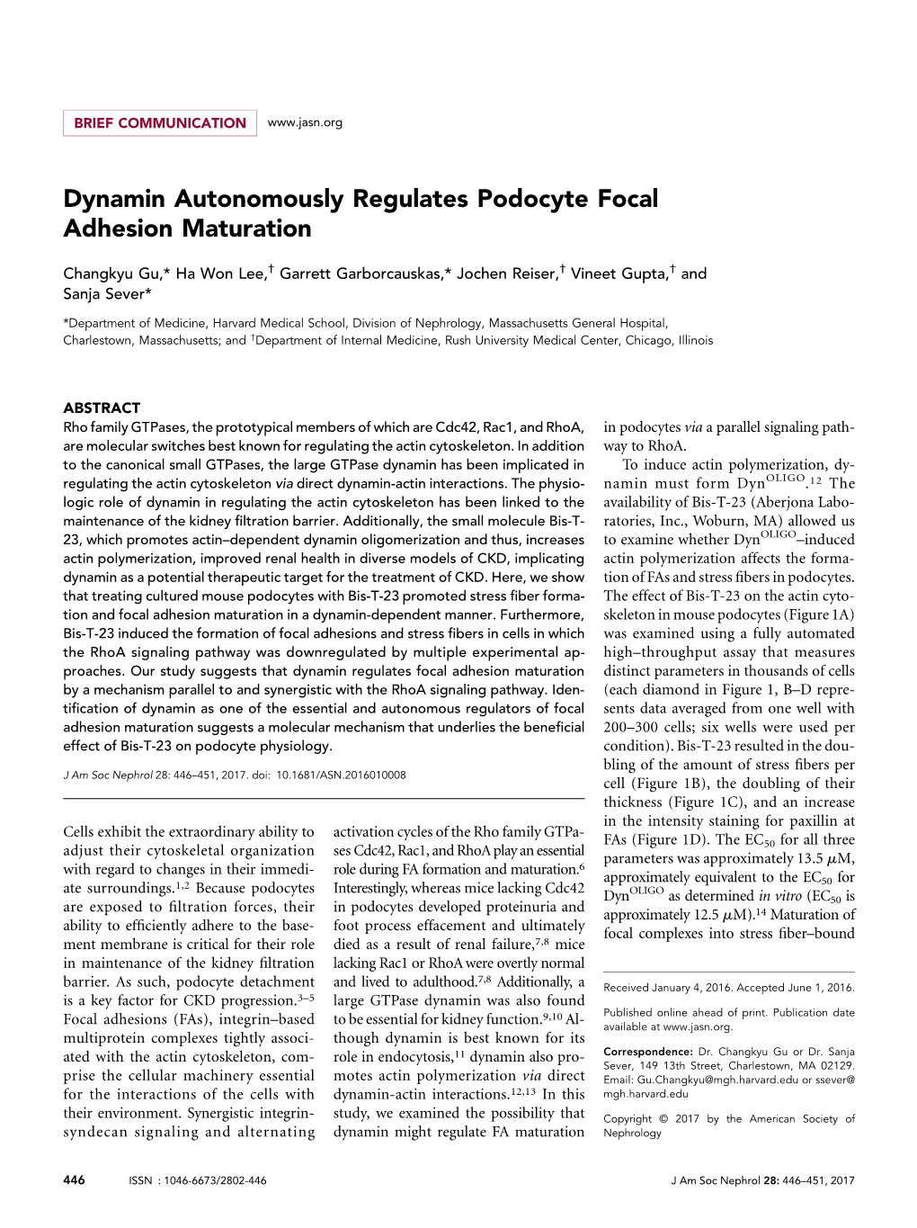 Dynamin Autonomously Regulates Podocyte Focal Adhesion Maturation