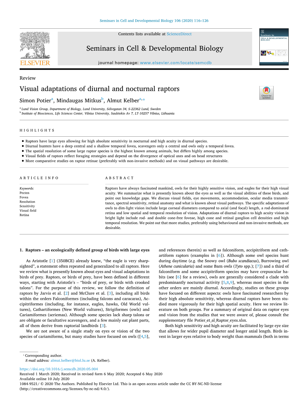 Visual Adaptations of Diurnal and Nocturnal Raptors