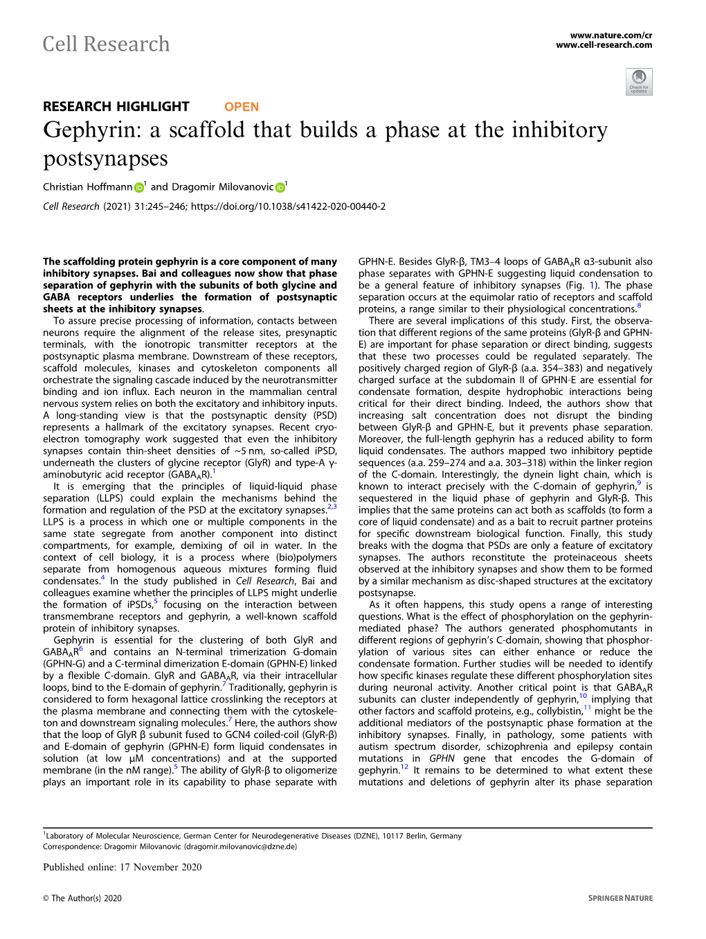 Gephyrin: a Scaffold That Builds a Phase at the Inhibitory Postsynapses