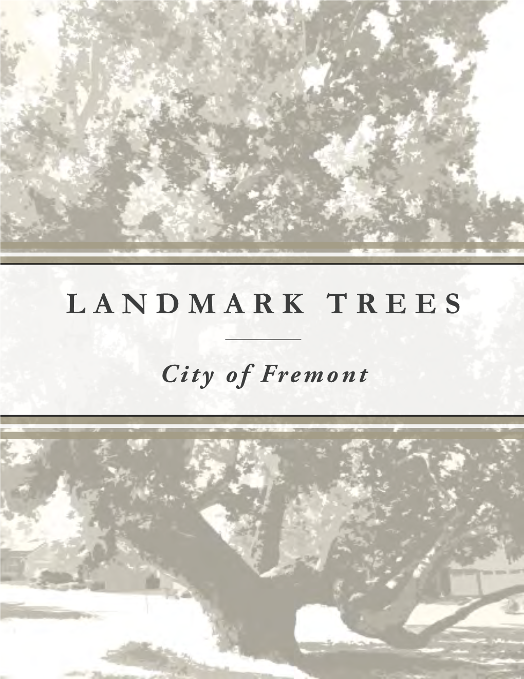 Landmark Trees