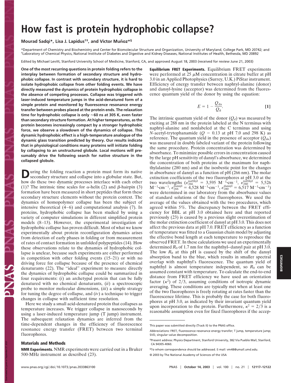 How Fast Is Protein Hydrophobic Collapse?