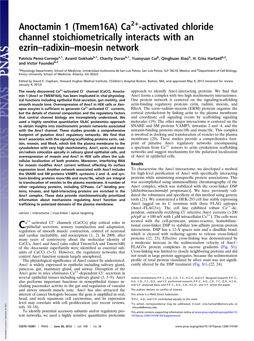 Anoctamin 1 (Tmem16a) Ca -Activated Chloride Channel Stoichiometrically Interacts with an Ezrin–Radixin–Moesin Network