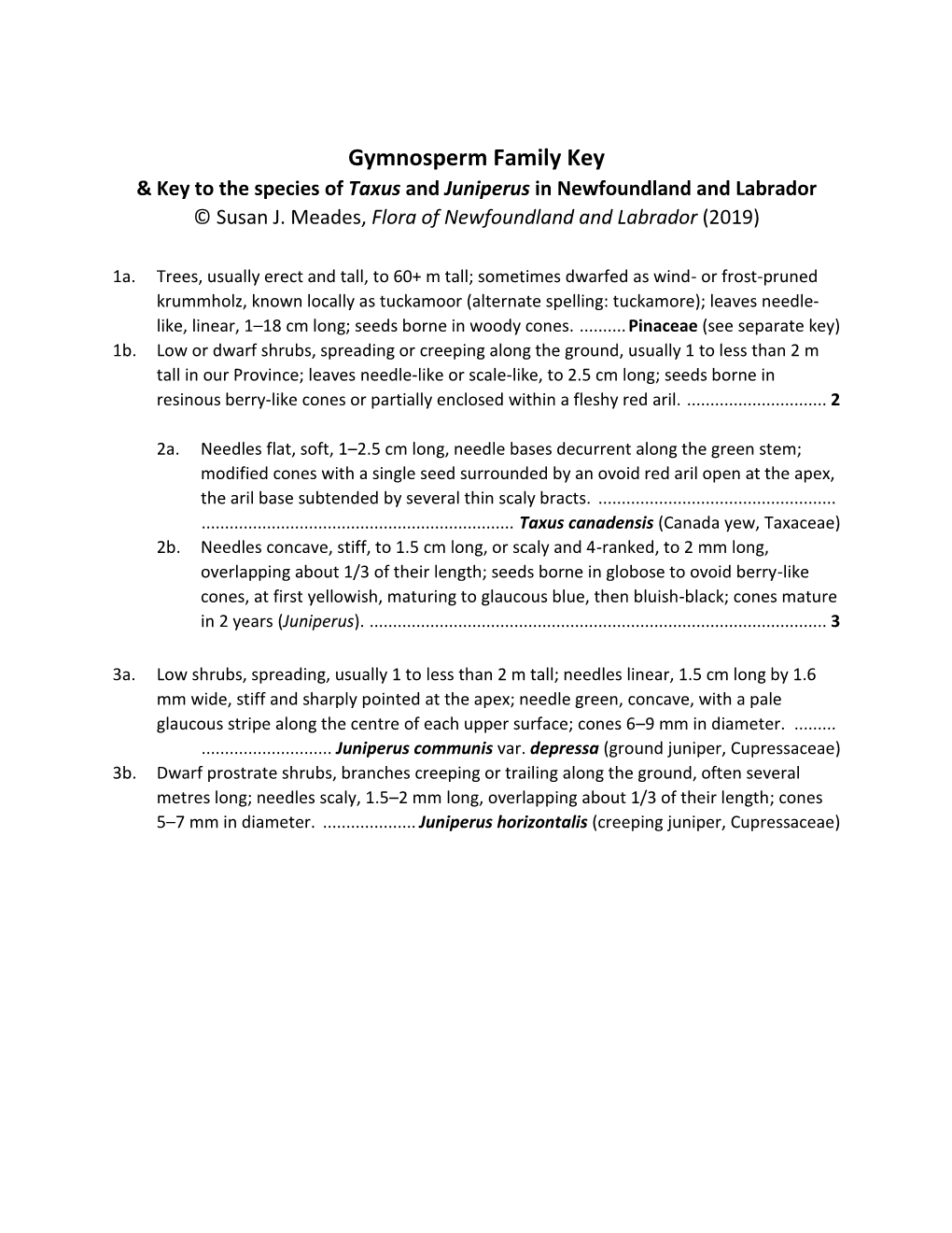 Gymnosperm Key & Charts