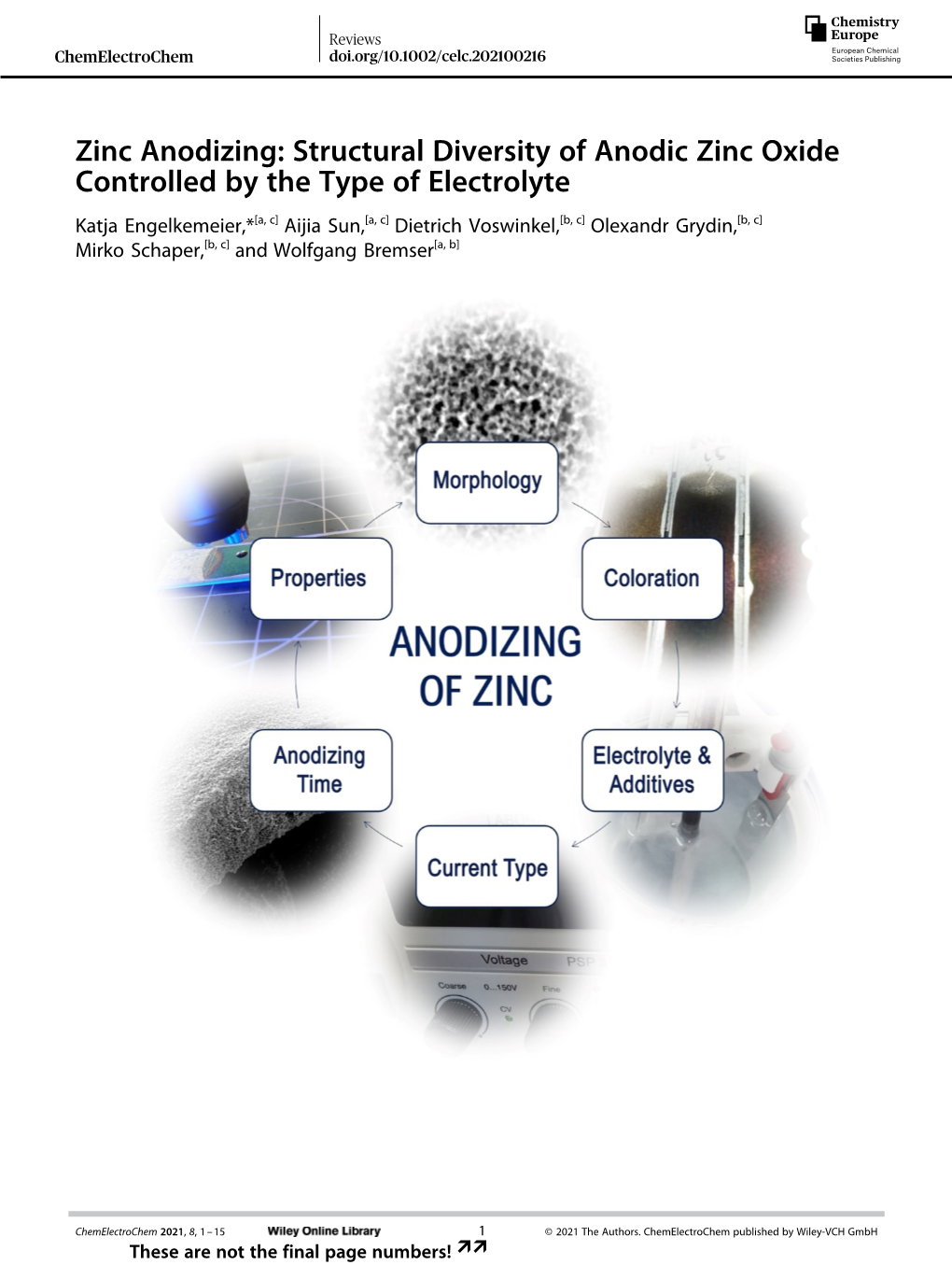 Structural Diversity of Anodic Zinc Oxide Controlled by the Type Of