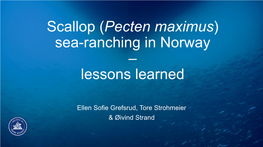 Pecten Maximus) Sea-Ranching in Norway – Lessons Learned