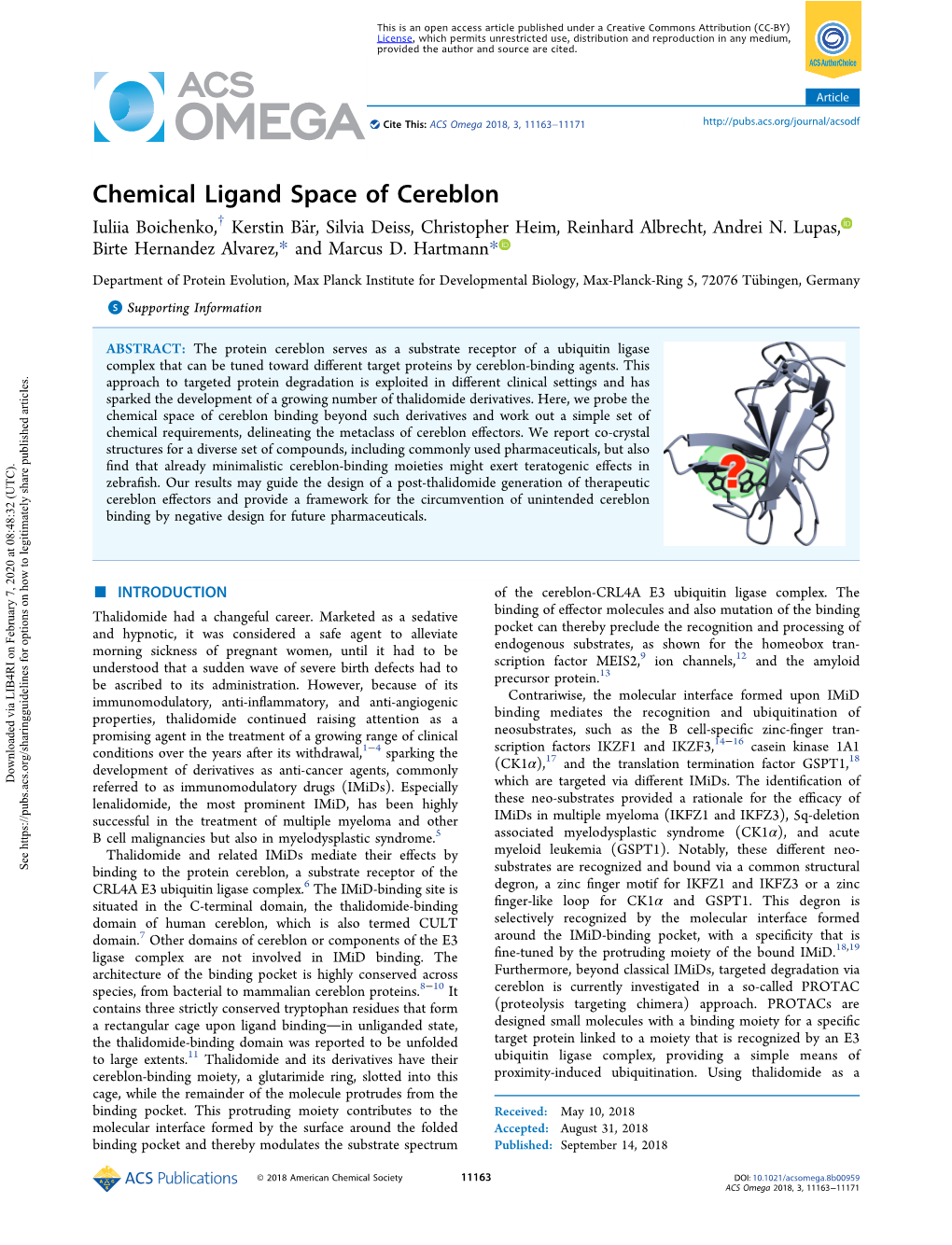 Chemical Ligand Space of Cereblon Iuliia Boichenko,† Kerstin Bar,̈ Silvia Deiss, Christopher Heim, Reinhard Albrecht, Andrei N