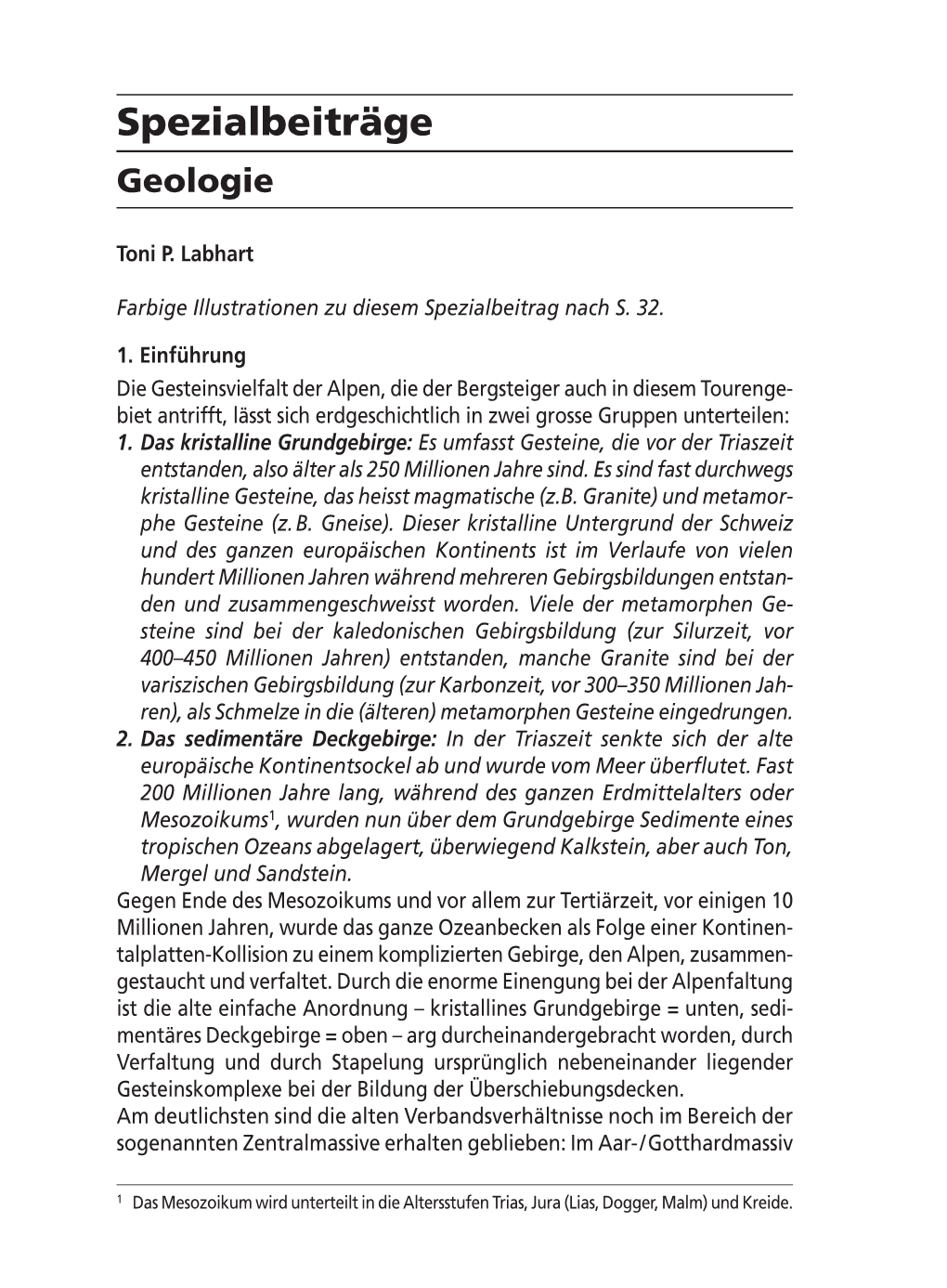 Spezialbeiträge Benötigen Wir Professionelle Hilfe, So Überwachen Wir Den Patienten Bis Geologie Zum Eintreffen Der Helfer