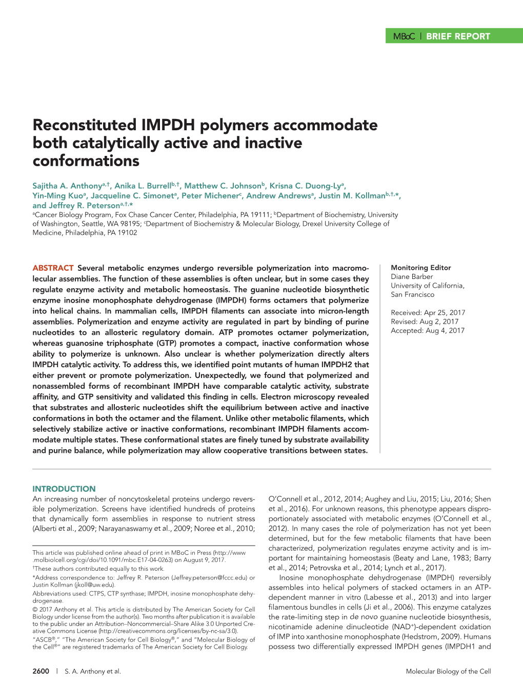 Reconstituted IMPDH Polymers Accommodate Both Catalytically Active and Inactive Conformations