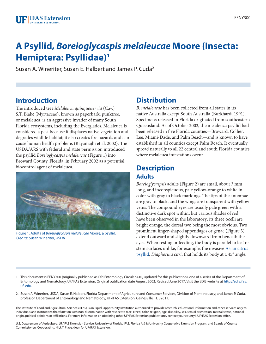 A Psyllid, Boreioglycaspis Melaleucae Moore (Insecta: Hemiptera: Psyllidae)1 Susan A