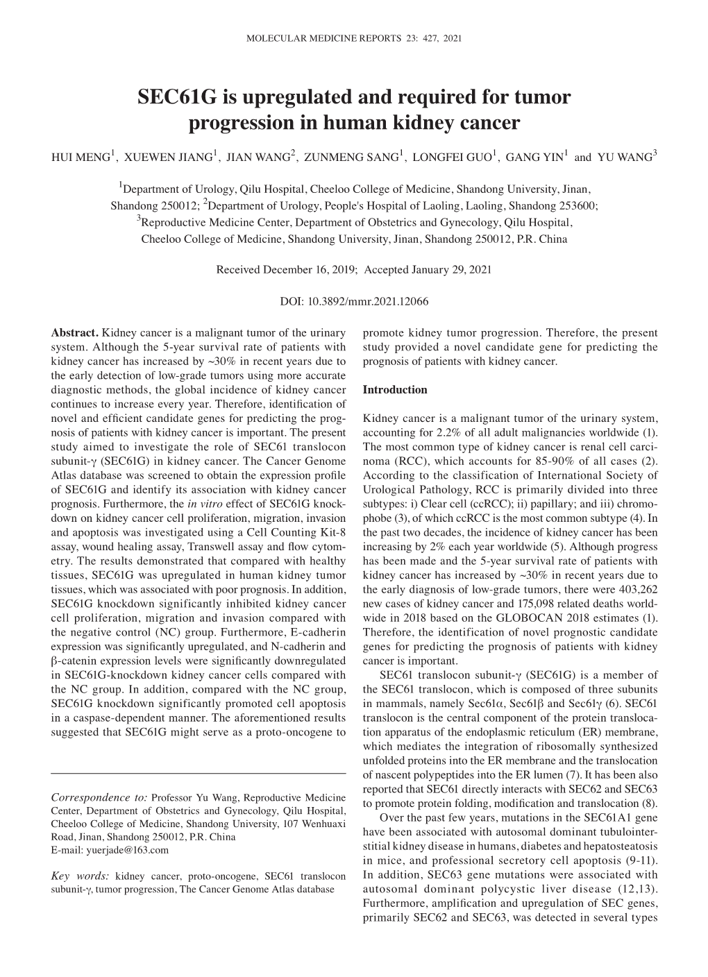 SEC61G Is Upregulated and Required for Tumor Progression in Human Kidney Cancer