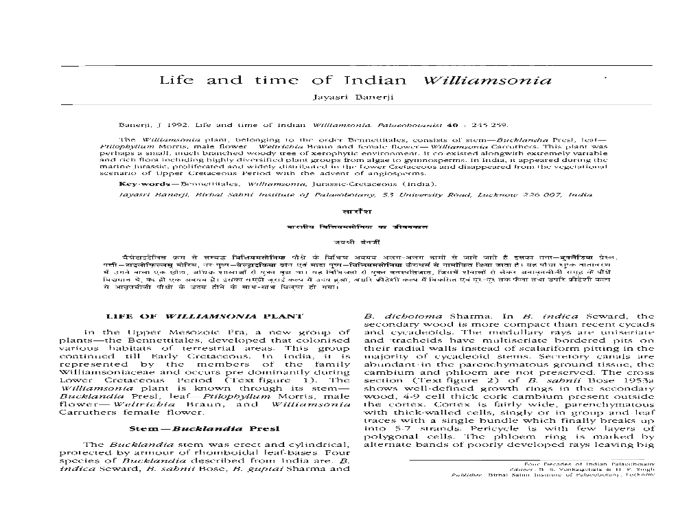 Life and Time of Indian Williamsonia