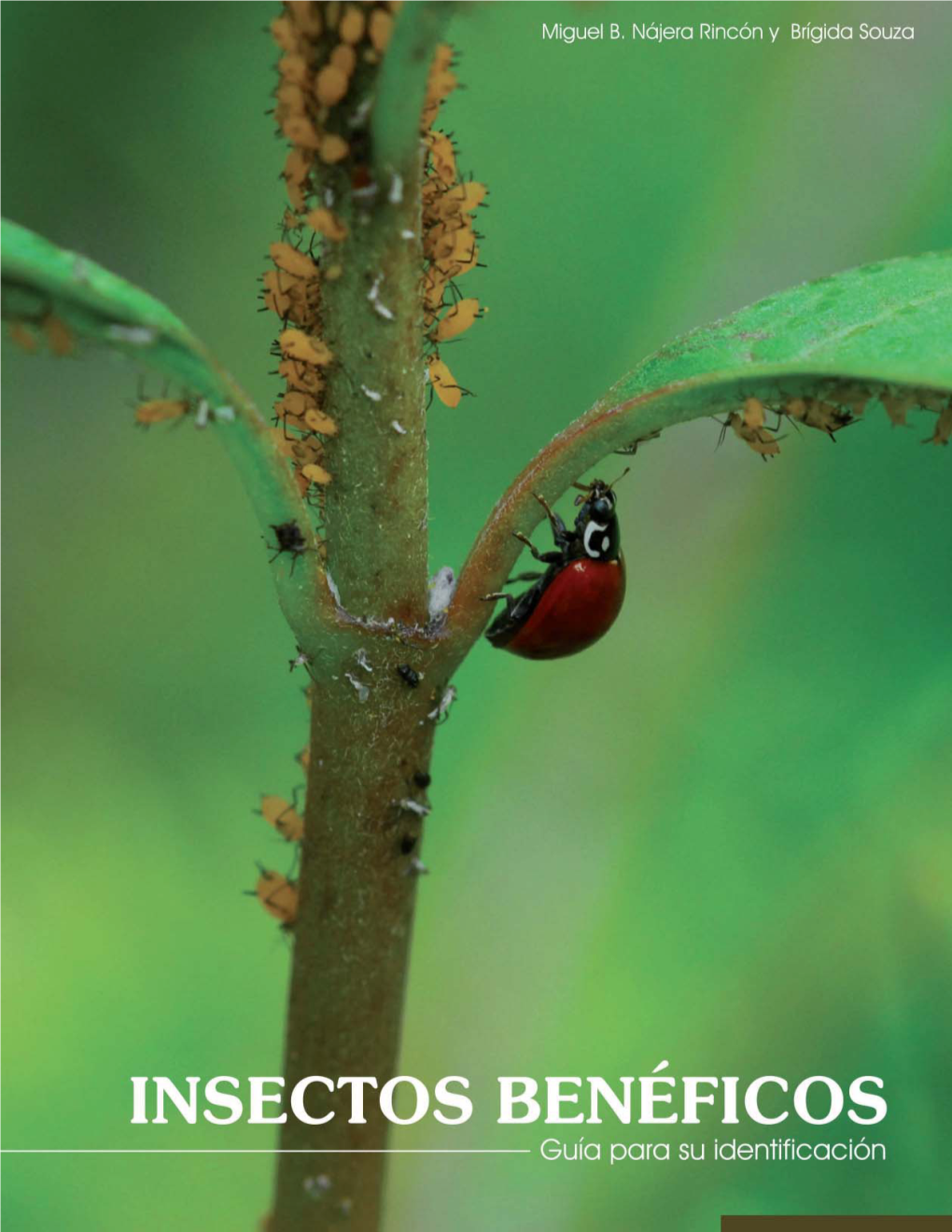 Guía Para La Identificación De Insectos Benéficos