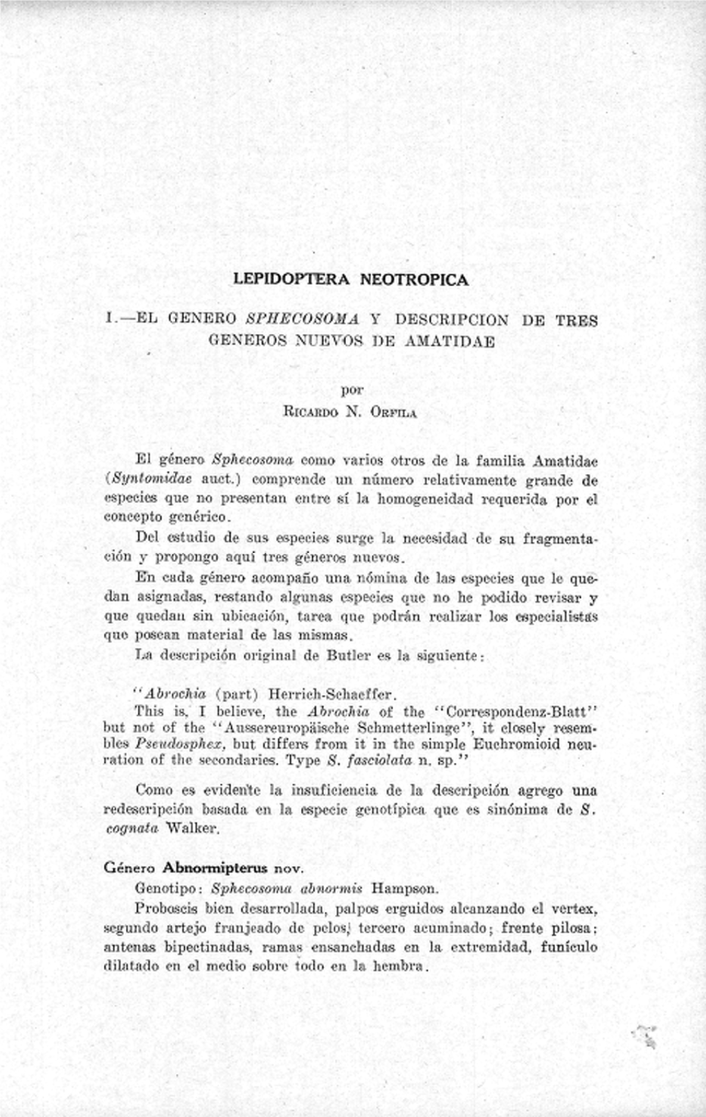 LEPIDOP'i-ERA NEOTROPICA I.-Elj GENERO Spheoojso'fl44 Y DESCRIPCI0N DE TRES