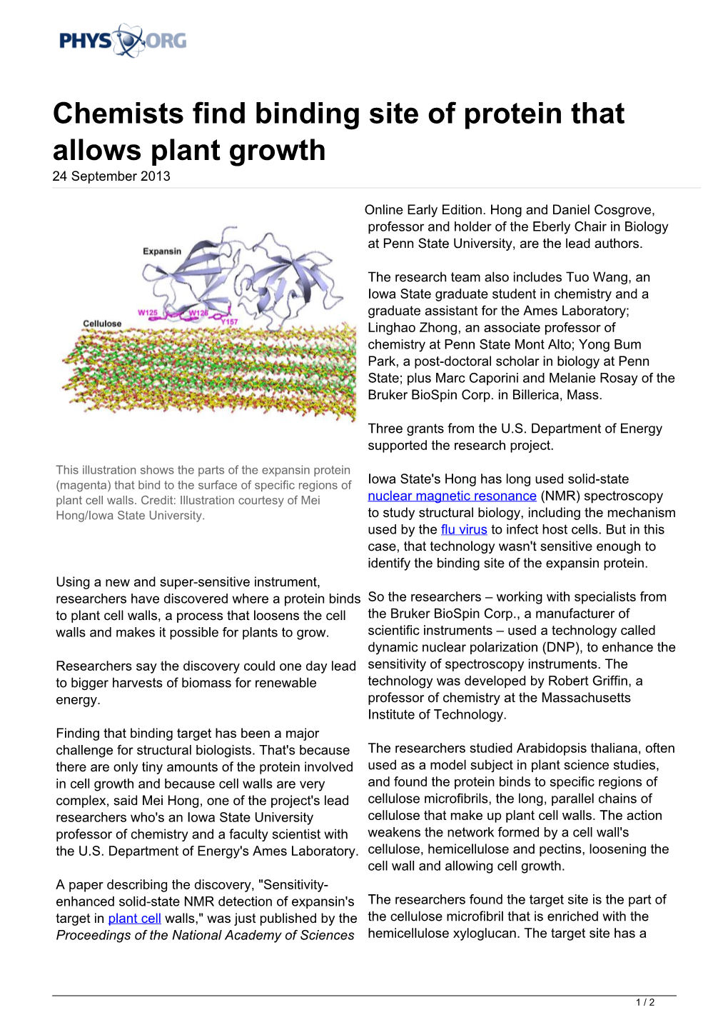 Chemists Find Binding Site of Protein That Allows Plant Growth 24 September 2013