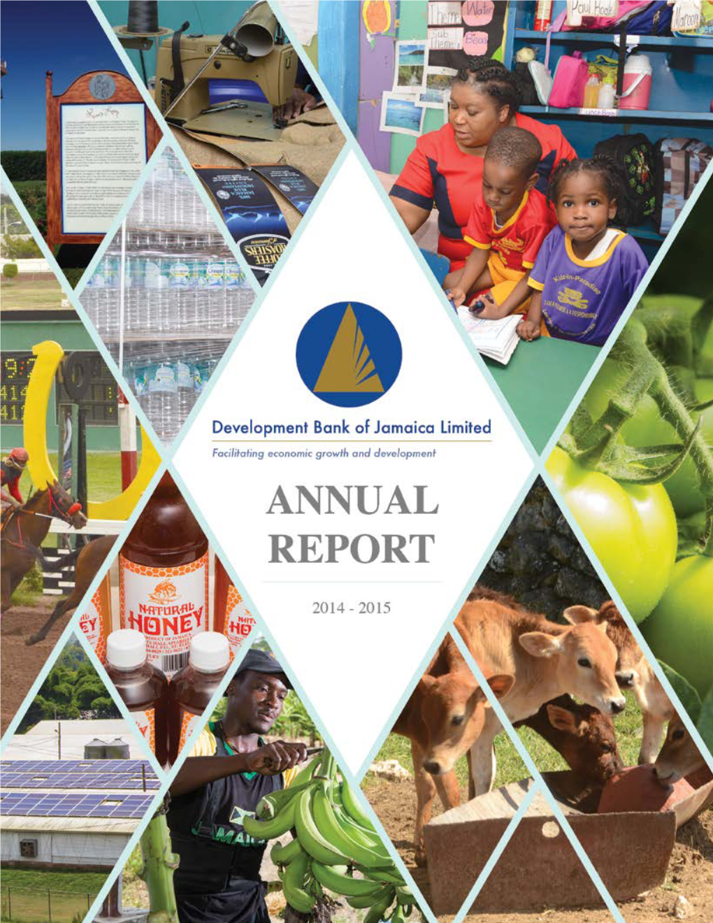DBJ Annual Report